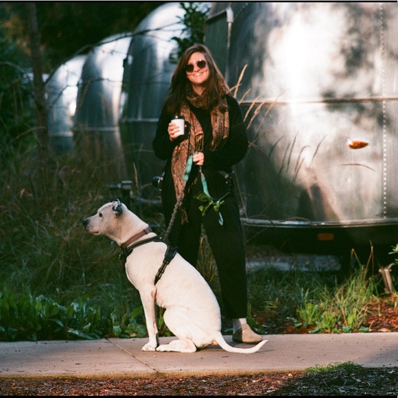 Meet your Posher, Morgan - Picture 3 of 4